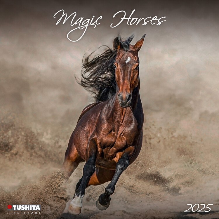 Календар 2027 Magic Horses