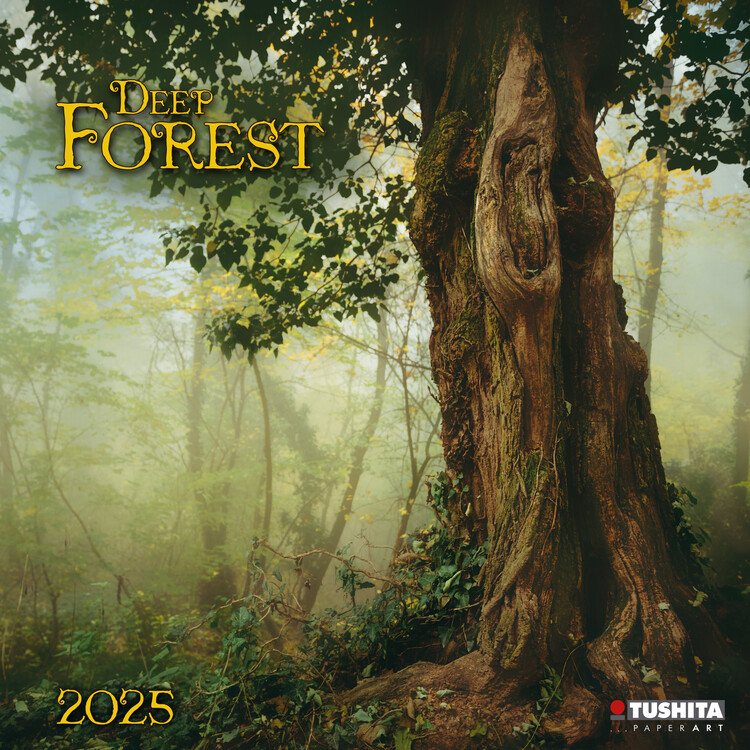 Календар 2027 Deep Forest
