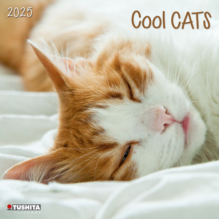 Календар 2027 Cool Cats