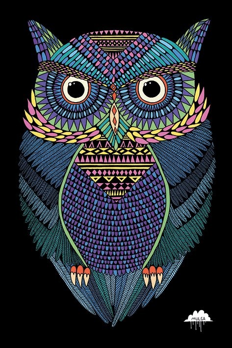 Плакат Mulga - Michael the Magical Owl