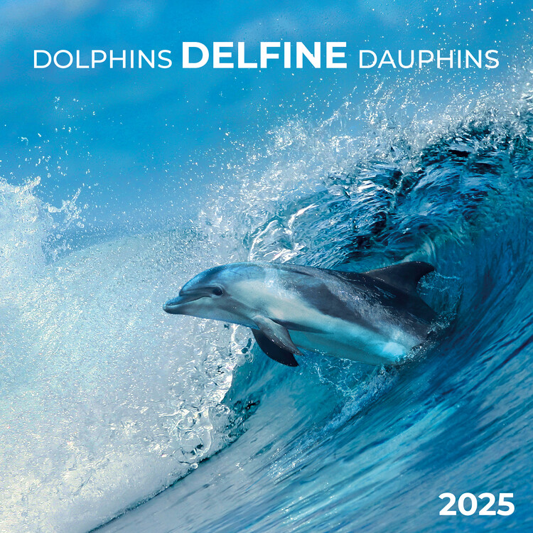 Календар 2027 Dolphins
