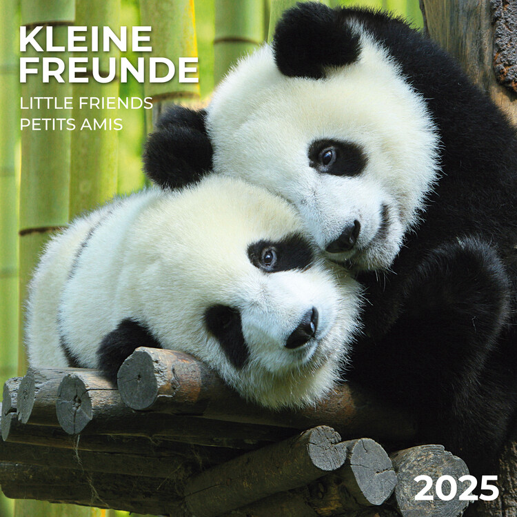 Calendar 2027 Little Friends
