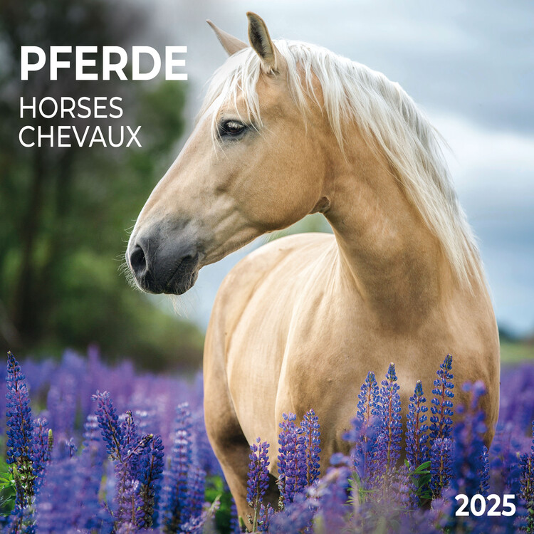 Календар 2027 Horses
