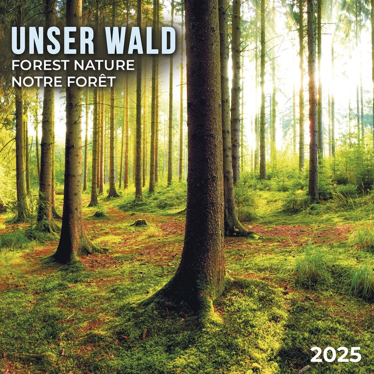 Календар 2027 Forest Nature