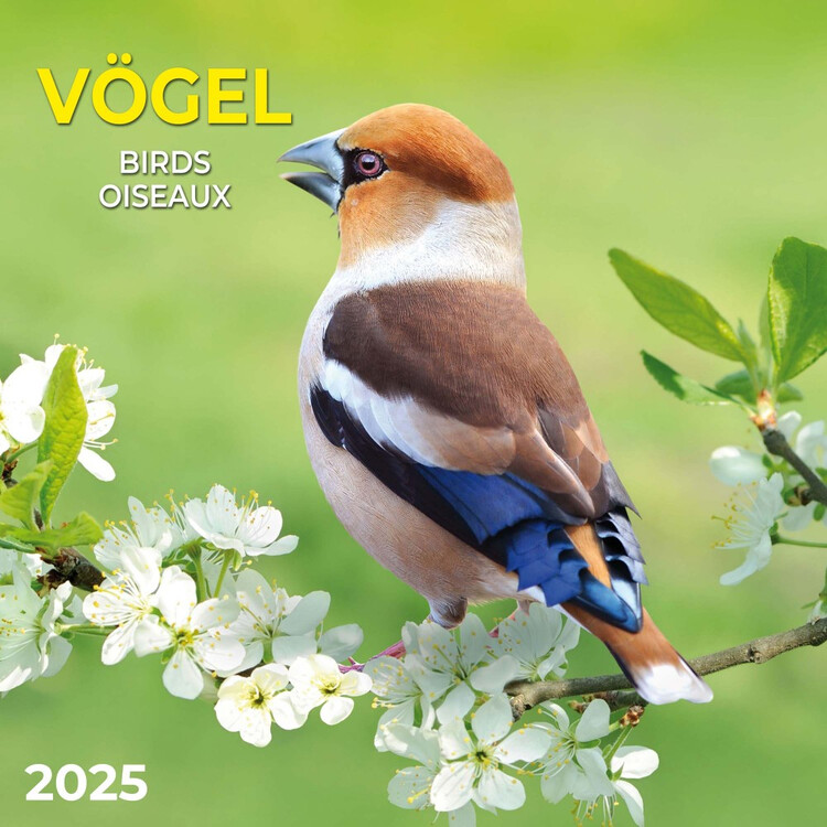 Календар 2027 Birds