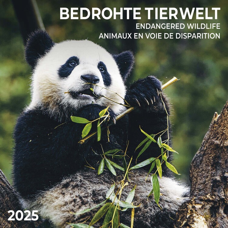 Календар 2027 Endangered wildlife