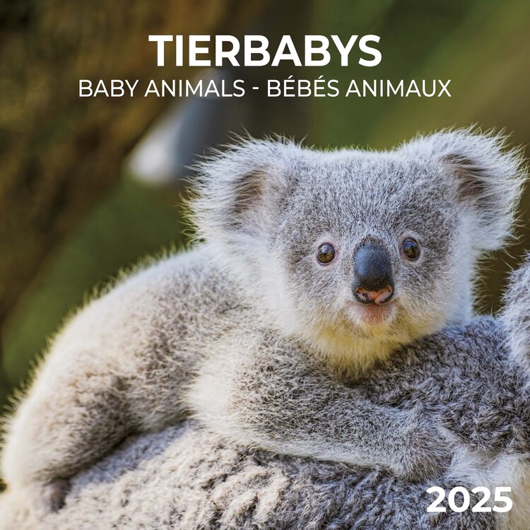 Kalenteri 2027 Baby Animals