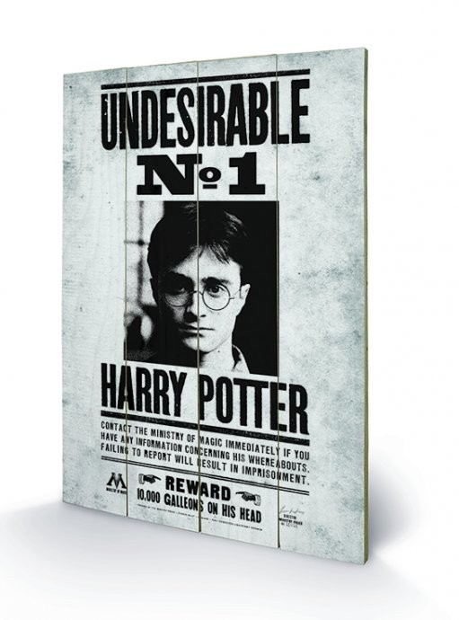 Ξύλινη τέχνη Harry Potter - Undesirable No1