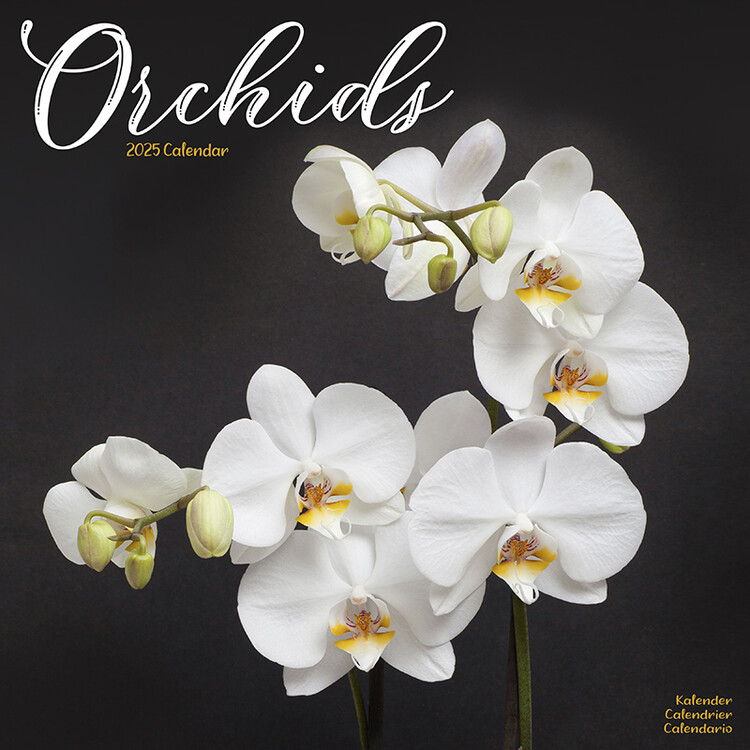 Kalenteri 2027 Orchids