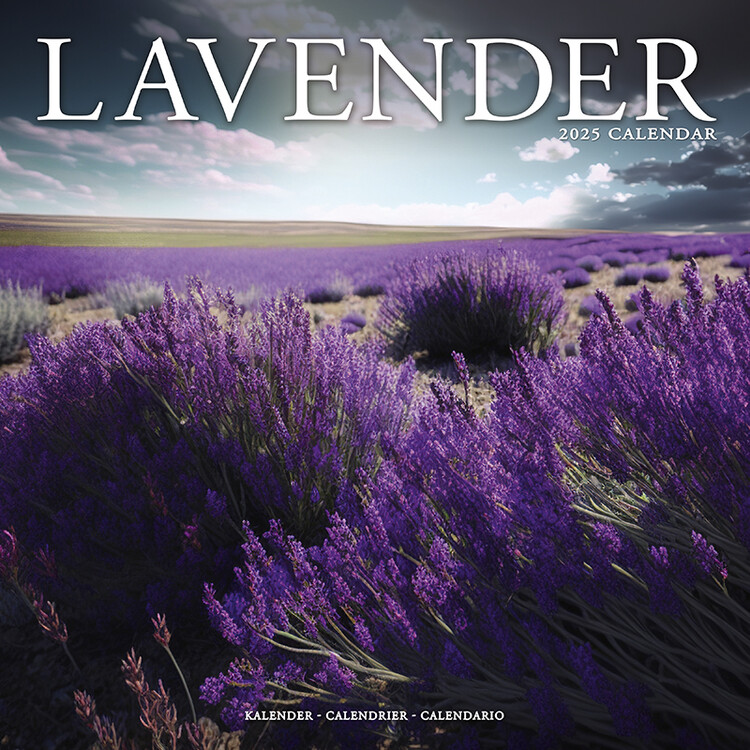 Календар 2027 Lavender