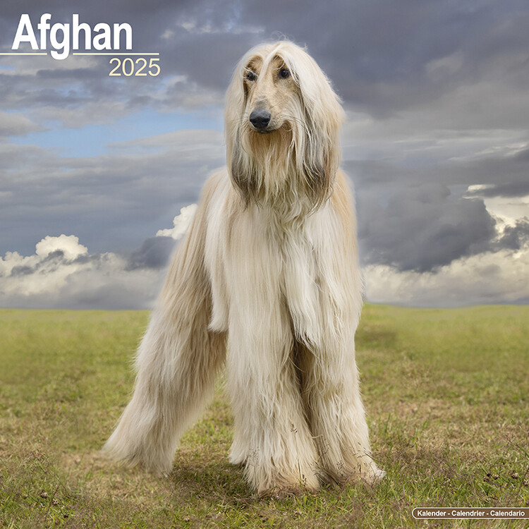 Kalenteri 2027 Afghan