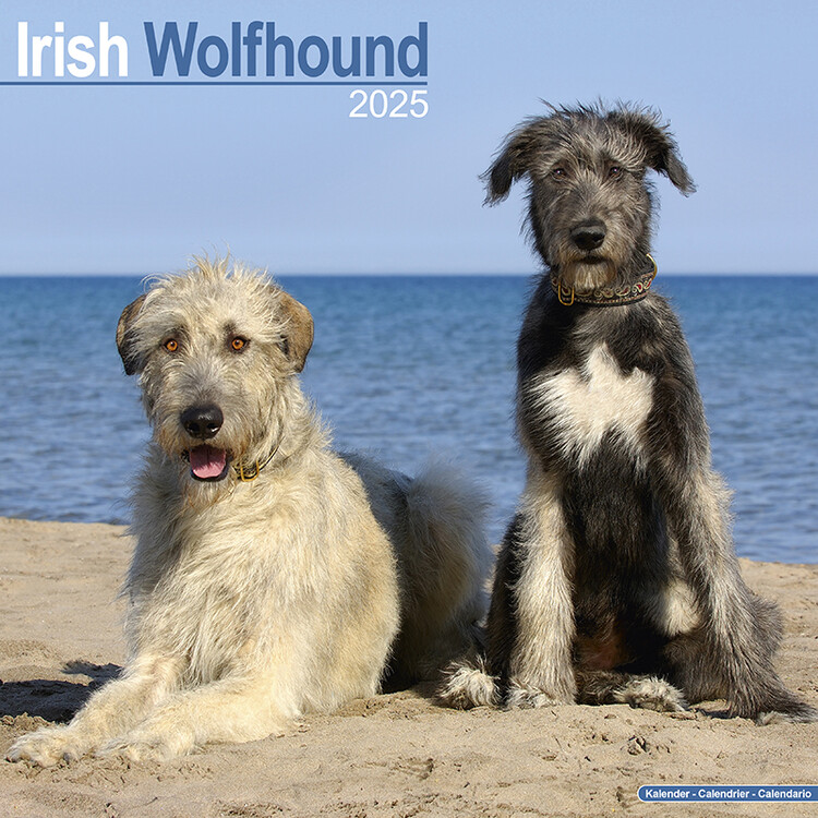 Kalenteri 2027 Irish Wolfhound