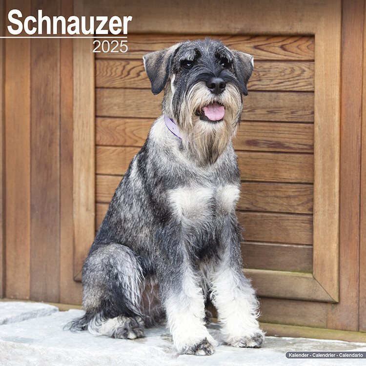 Ημερολόγιο 2027 Schnauzer