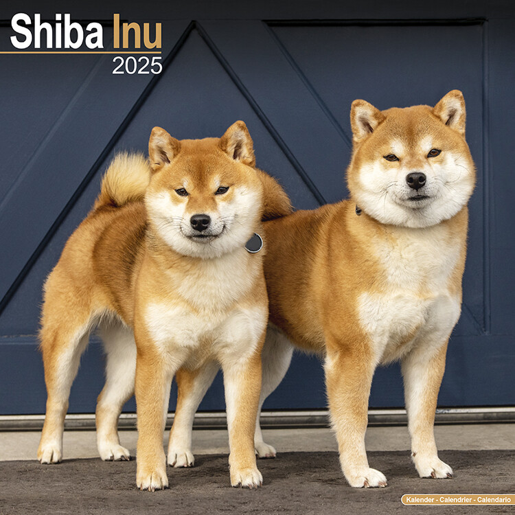 Calendar 2027 Shiba Inu