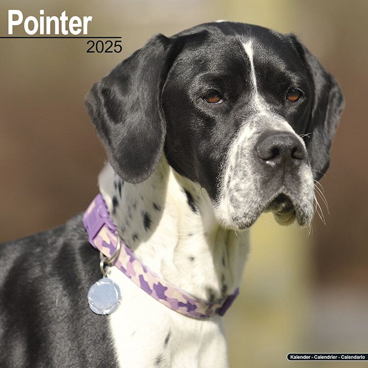 Calendar 2027 Pointer