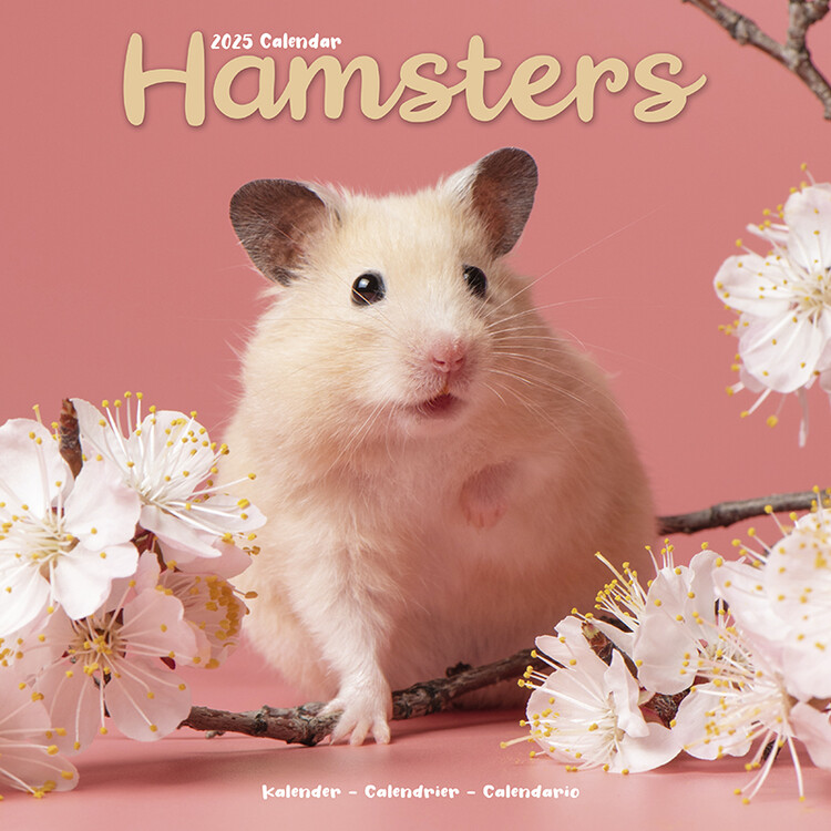 Calendar 2027 Hamsters