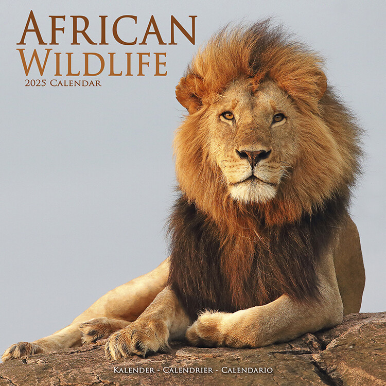 Calendar 2027 African Wildlife