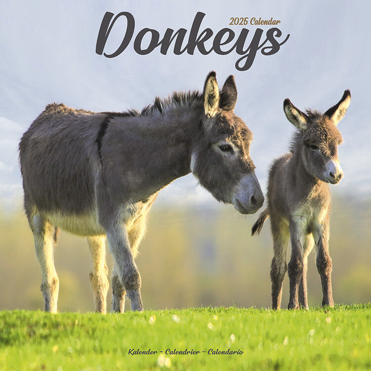 Ημερολόγιο 2027 Donkeys