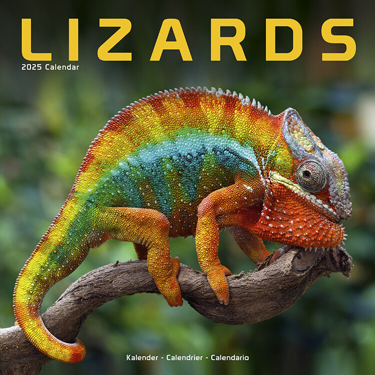 Календар 2027 Lizards