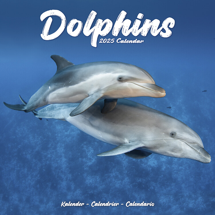 Kalenteri 2027 Dolphins