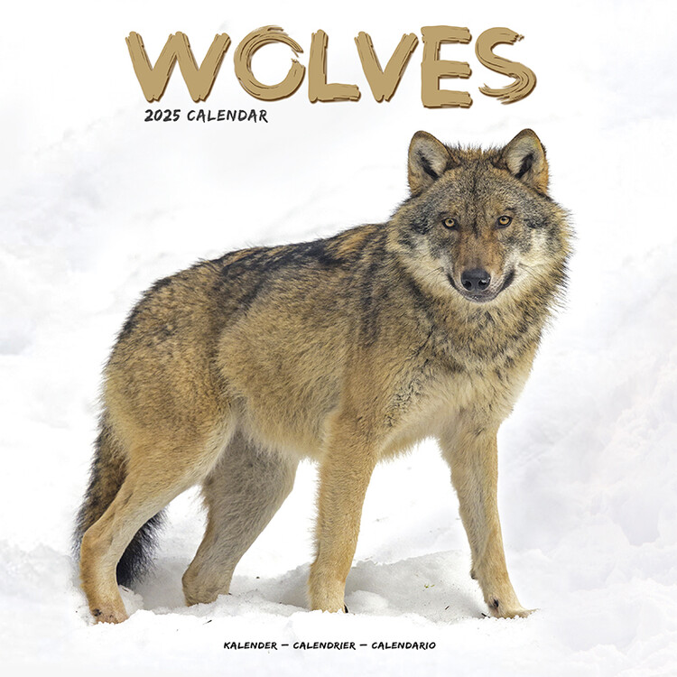 Calendar 2027 Wolves