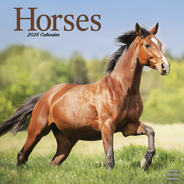 Kalenteri 2027 Horses