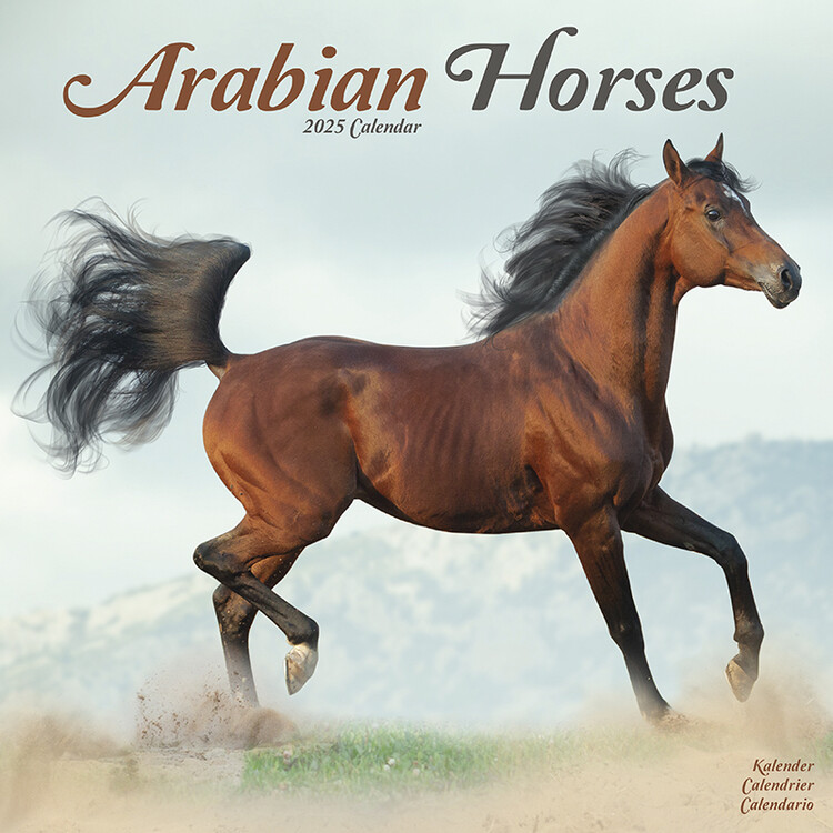 Kalenteri 2027 Arabian Horses