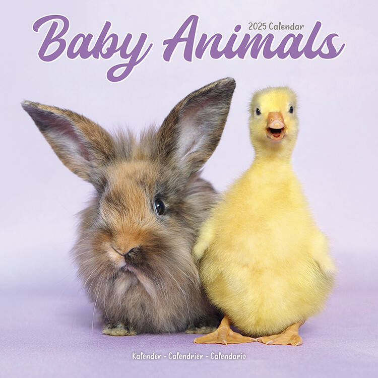 Calendar 2027 Baby Animals