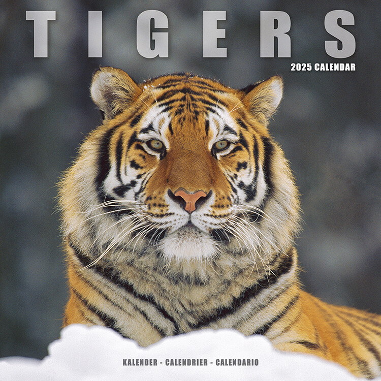 Kalenteri 2027 Tigers