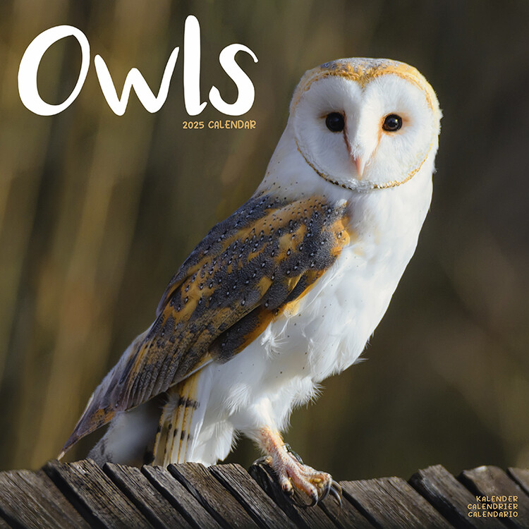Kalenteri 2027 Owls