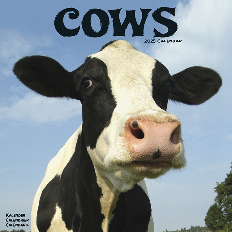 Kalenteri 2027 Cows