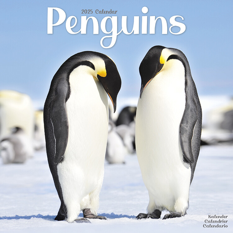 Koledar 2027 Penguins