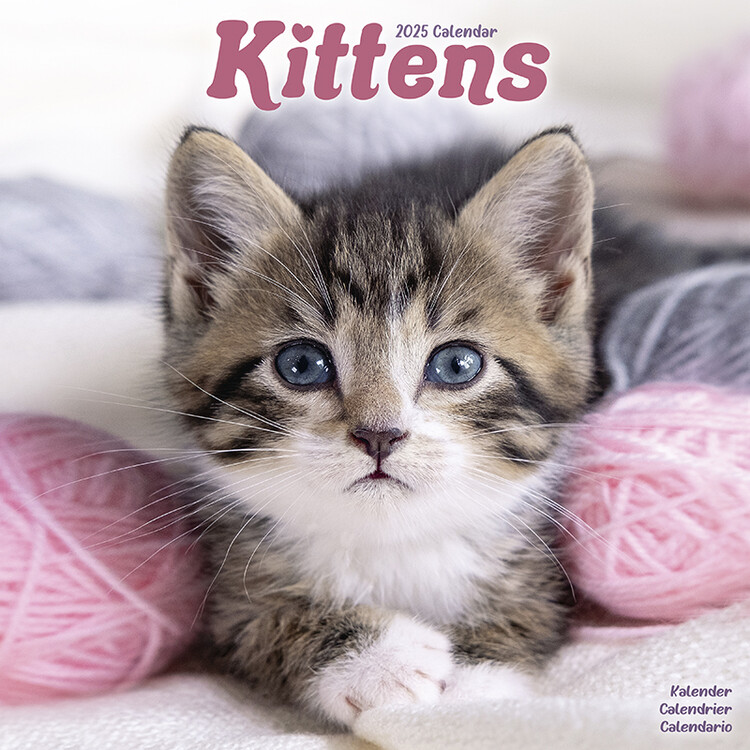 Koledar 2027 Kittens