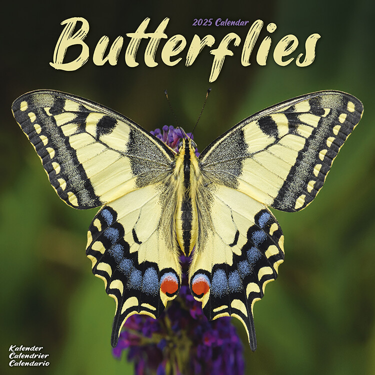 Kalenteri 2027 Butterflies