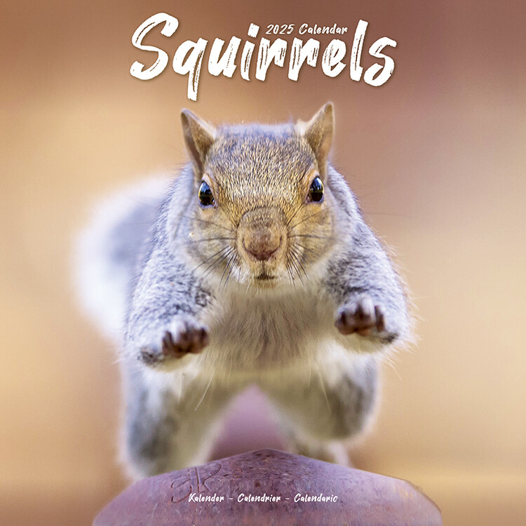 Koledar 2027 Squirrels