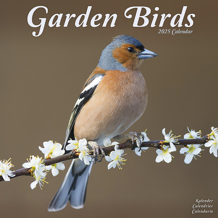 Kalenteri 2027 Garden Birds