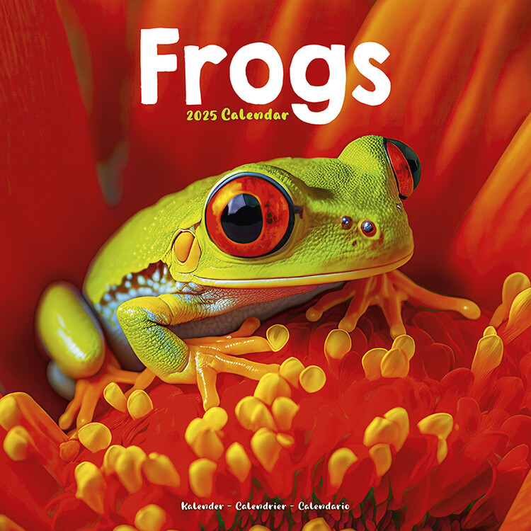 Ημερολόγιο 2027 Frogs