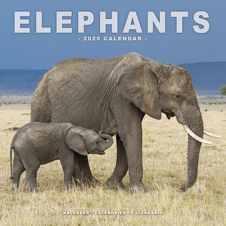 Ημερολόγιο 2027 Elephants