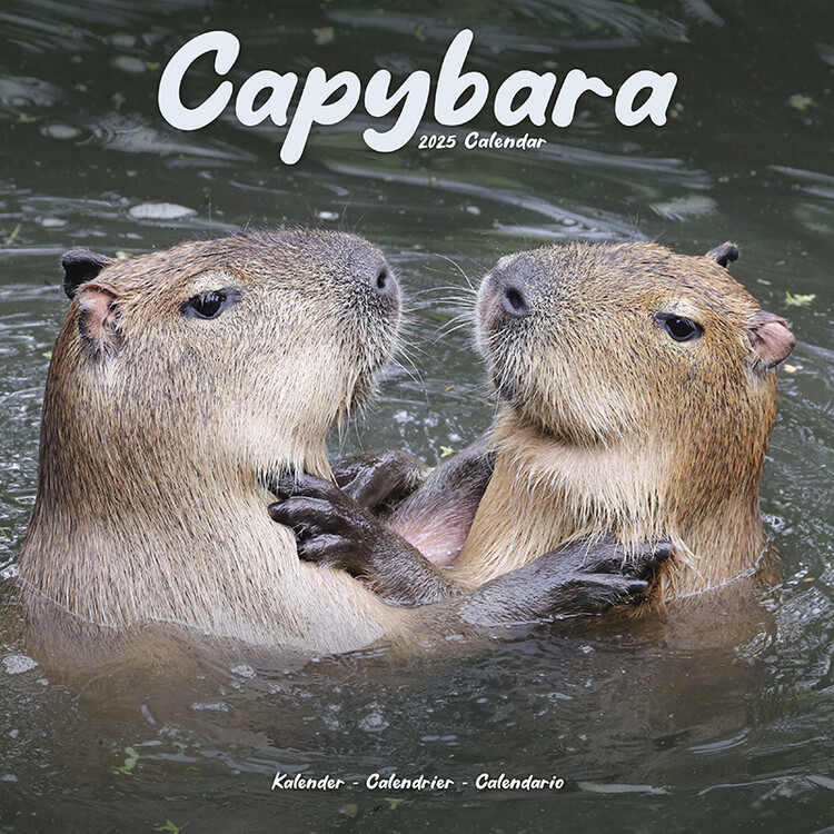 Ημερολόγιο 2027 Capybara