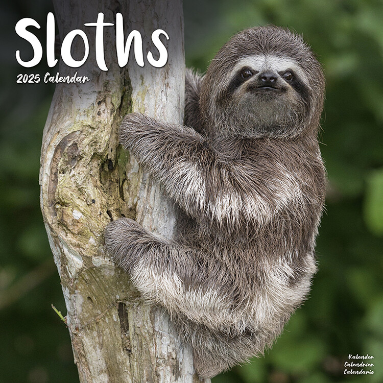 Calendar 2027 Sloths