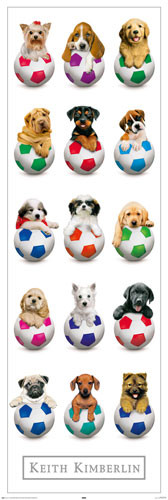Плакат Keith Kimberlin – Dogs with Balls