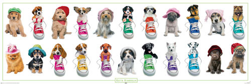 Плакат Keith Kimberlin – Dogs with Hats and Sneakers