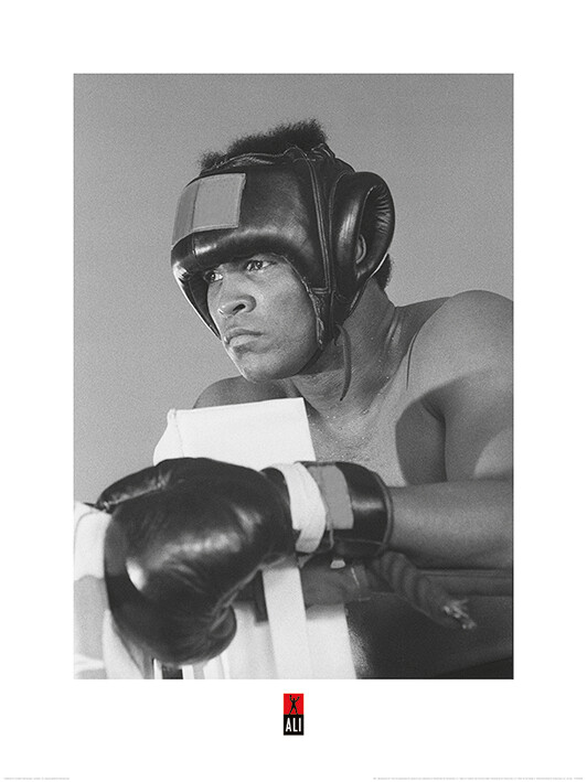 Taidejuliste Muhammad Ali - Training