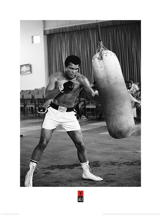 Εκτύπωση τέχνης Muhammad Ali - Punch Bag