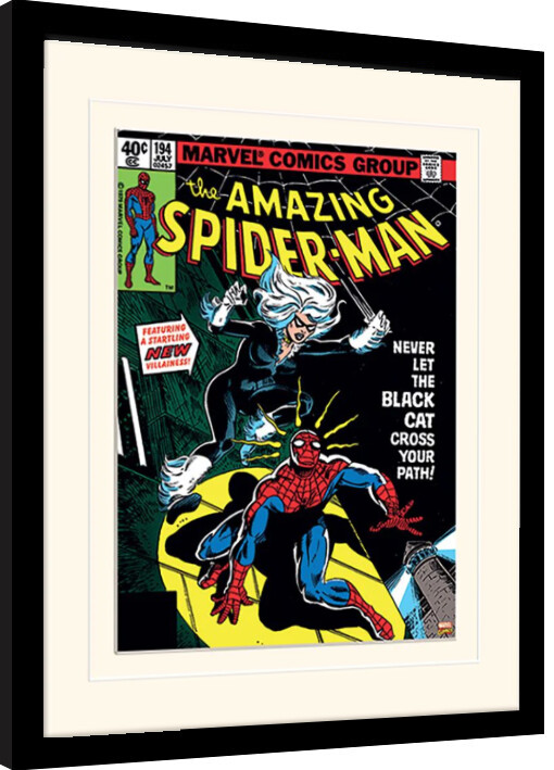 Framed Poster Spiderman - Black Cat