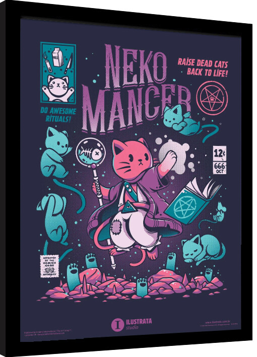 Uokvirjen plakat Ilustrata - Nekomancer