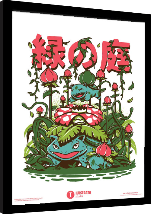 Poster emoldurado Ilustrata - Secret Garden