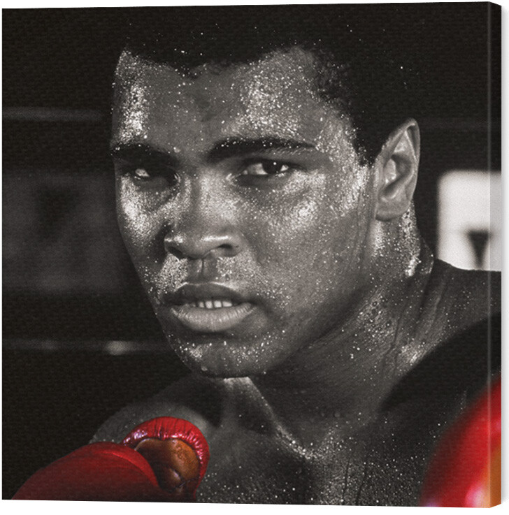 Принти на полотні Muhammad Ali - Boxing Gloves