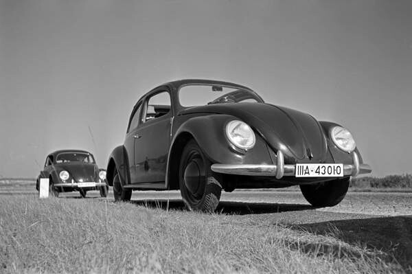 Принти на полотні Two models of the Volkswagen beetle, or KdF car, with open and closed roof near the test track near Wolfsburg, Germany 1930s