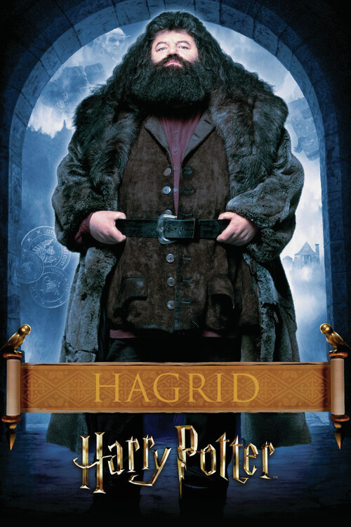 Плакат Harry Potter - Hargrid